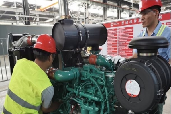 Diesel Generator Inspection
